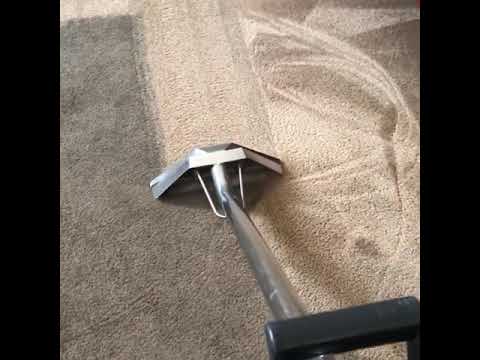 Carpet Cleaning in Sydney NSW - Simpo Cleaning | Call 02 9567 1929 or 1300 390 399